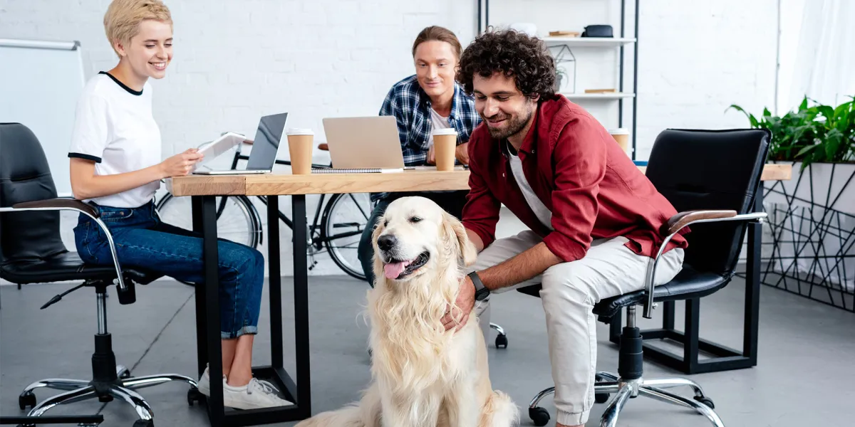 Es muss auf sehr vieles geachtet werden, wenn Hunde im Büro erlaubt werden. © Adobe Stock, LIGHTFIELD STUDIOS