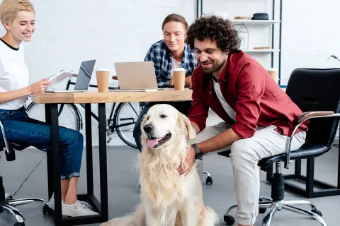 Es muss auf sehr vieles geachtet werden, wenn Hunde im Büro erlaubt werden. © Adobe Stock, LIGHTFIELD STUDIOS