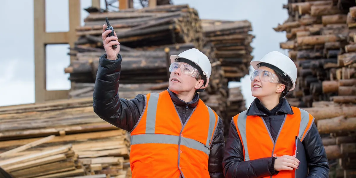 Zwei Waldarbeiter überprüfen die Sicherheit an ihrem Arbeitsplatz. © Adobe Stock, agnormark